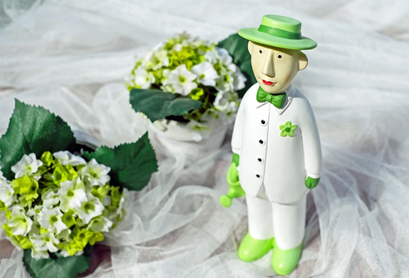 vitrine-SOLLIES PONT-min_man-person-flower-green-toy-fig-546529-pxhere.com